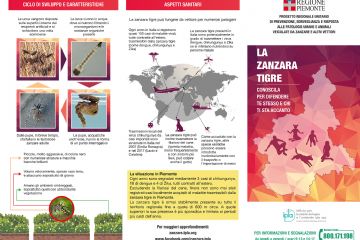 La zanzara tigre
